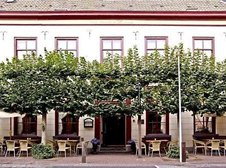 Hotel De Lantscroon s-Heerenberg Exteriör bild